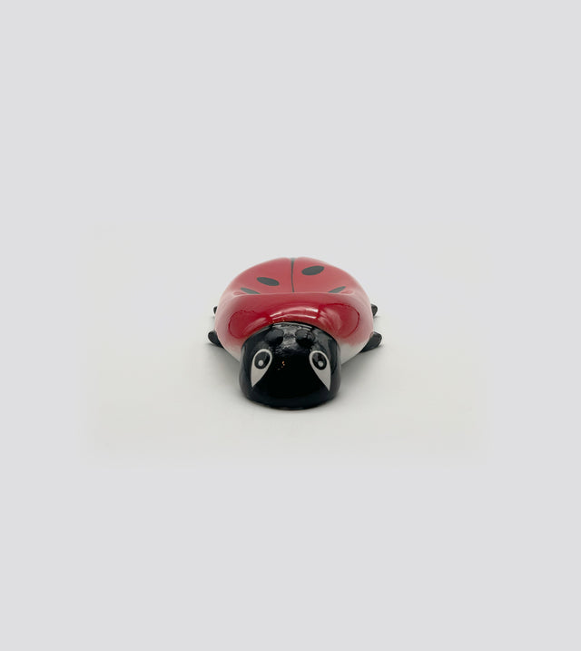 coccinella still life