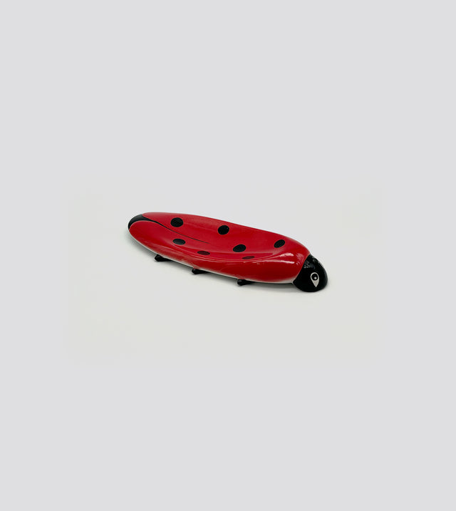 coccinella still life