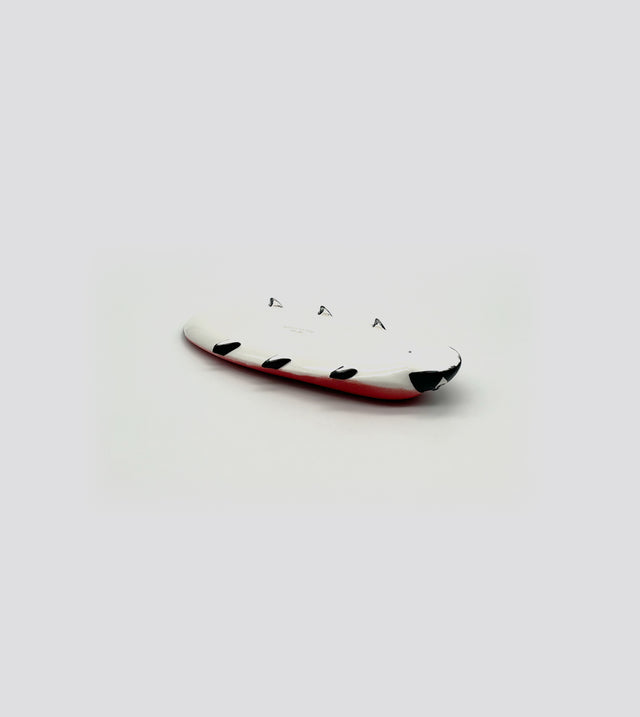 coccinella still life