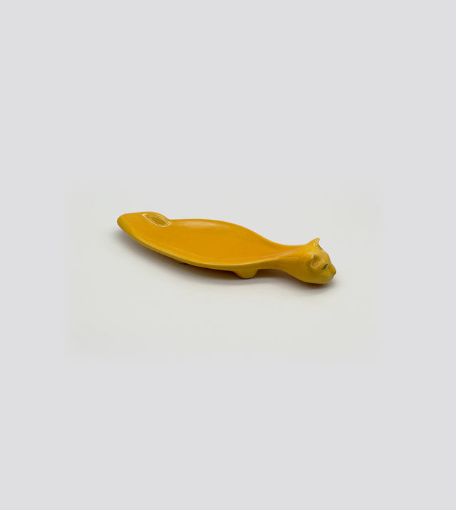 gatto orange still life