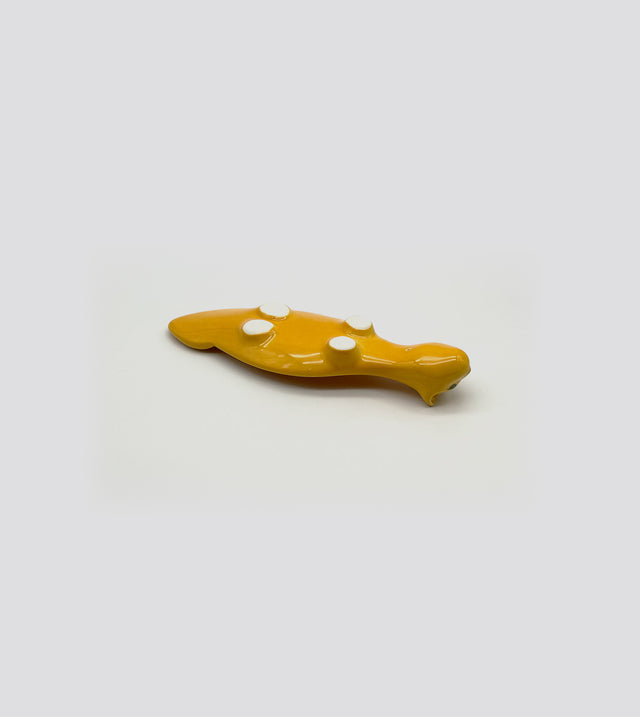 gatto orange still life
