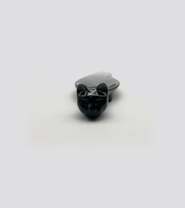 gatto nero still life